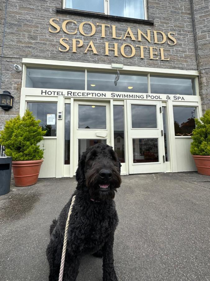 The Bank House At Scotland'S Hotel بيتلوكري المظهر الخارجي الصورة